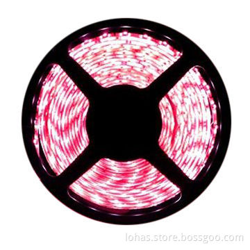 Red flexible LED strips,3528-120LEDs/M,high lumen with 6-7lm/LED,High brightness,nice appearance.
